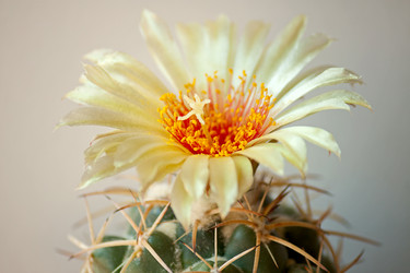 Similar image 1743517