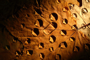 Similar image 1743669