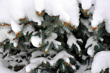 Similar image 1743677