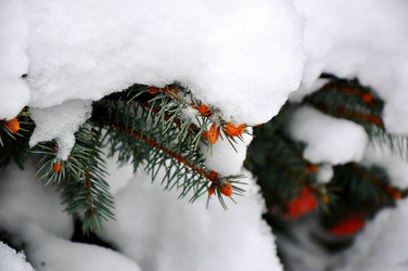 Similar image 1743681