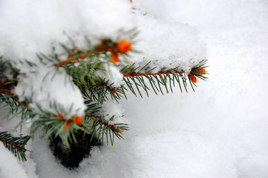 Similar image 1743682