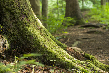 Similar image 1743683