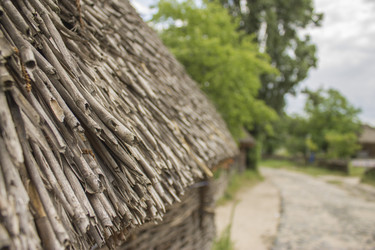 Similar image 1743686