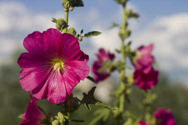 Similar image 1743687