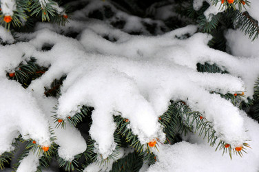 Similar image 1743704