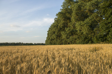 Similar image 1743706