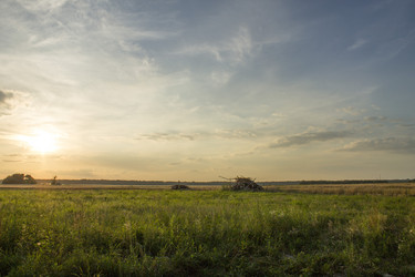 Similar image 1743707