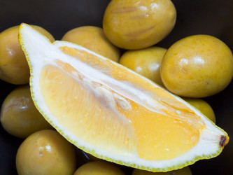 Similar image 1743983