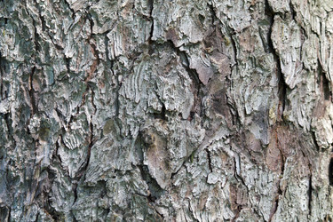 Similar image 1744073