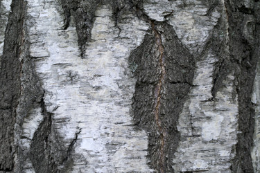 Similar image 1744077