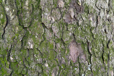 Similar image 1744097