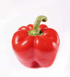 Similar image 1744194