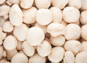 Similar image 1744229