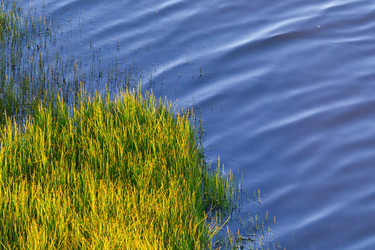 Similar image 1744239