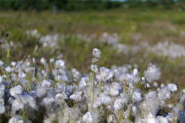 Similar image 1744240