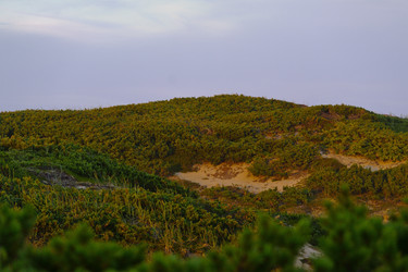 Similar image 1744246