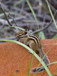 Similar image 1744247