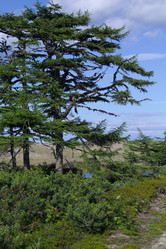 Similar image 1744249