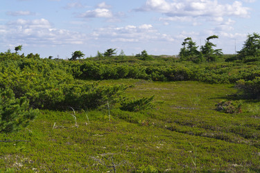 Similar image 1744250