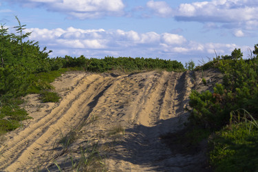 Similar image 1744251