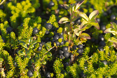 Similar image 1744252