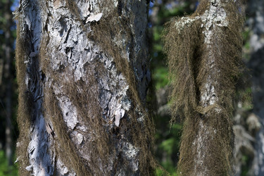 Similar image 1744253