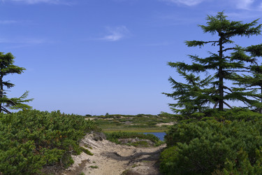 Similar image 1744254