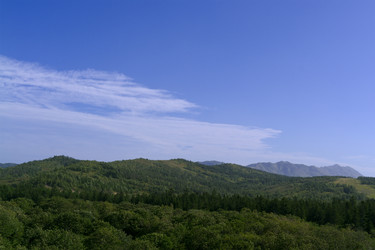 Similar image 1744275