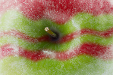 Similar image 1744661