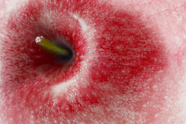 Similar image 1744662