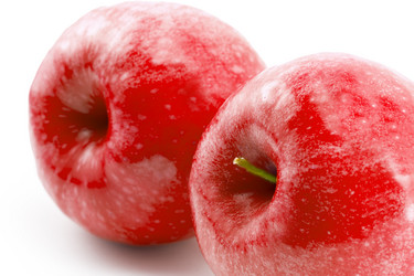 Similar image 1744664