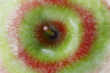 Similar image 1744667