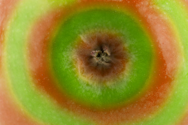 Similar image 1744671