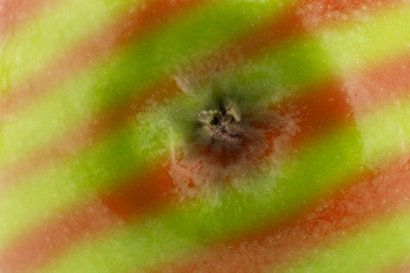 Similar image 1744672