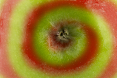 Similar image 1744673