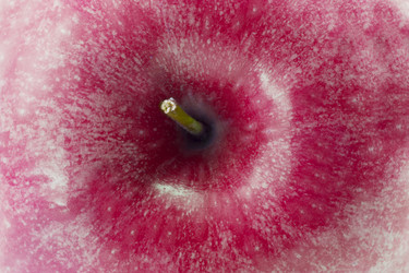 Similar image 1744675