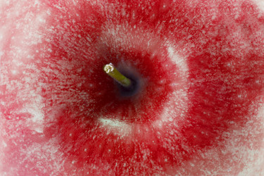 Similar image 1744676