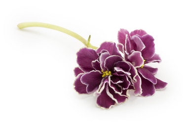 Similar image 1744782