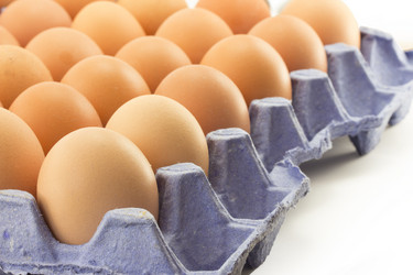 Similar image 1744929