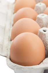 Similar image 1744935