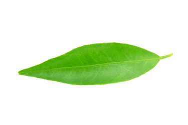 Similar image 1744939