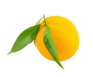 Similar image 1744947