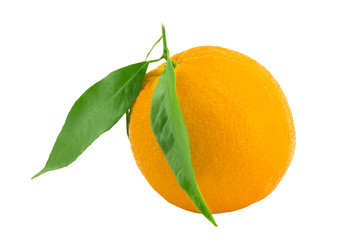 Similar image 1744948