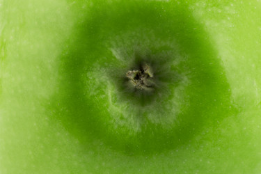 Similar image 1744957