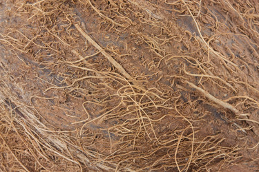 Similar image 1744958