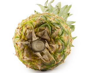 Similar image 1744974