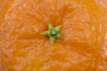 Similar image 1744979