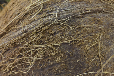 Similar image 1744987