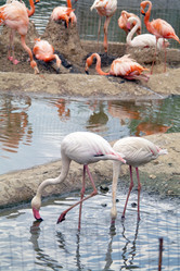 Similar image 1745082