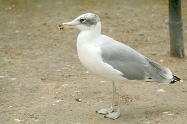 Similar image 1745083